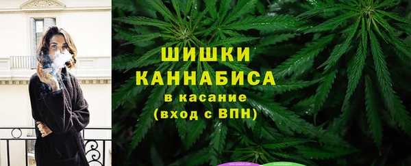 шишки Балахна